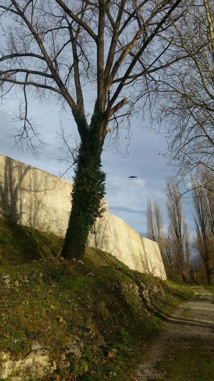 The Wall
