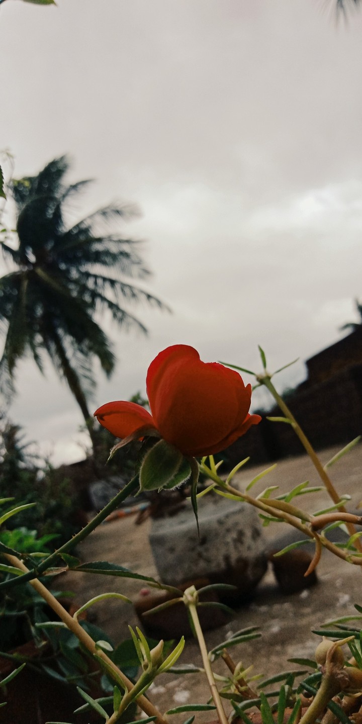 rainy day