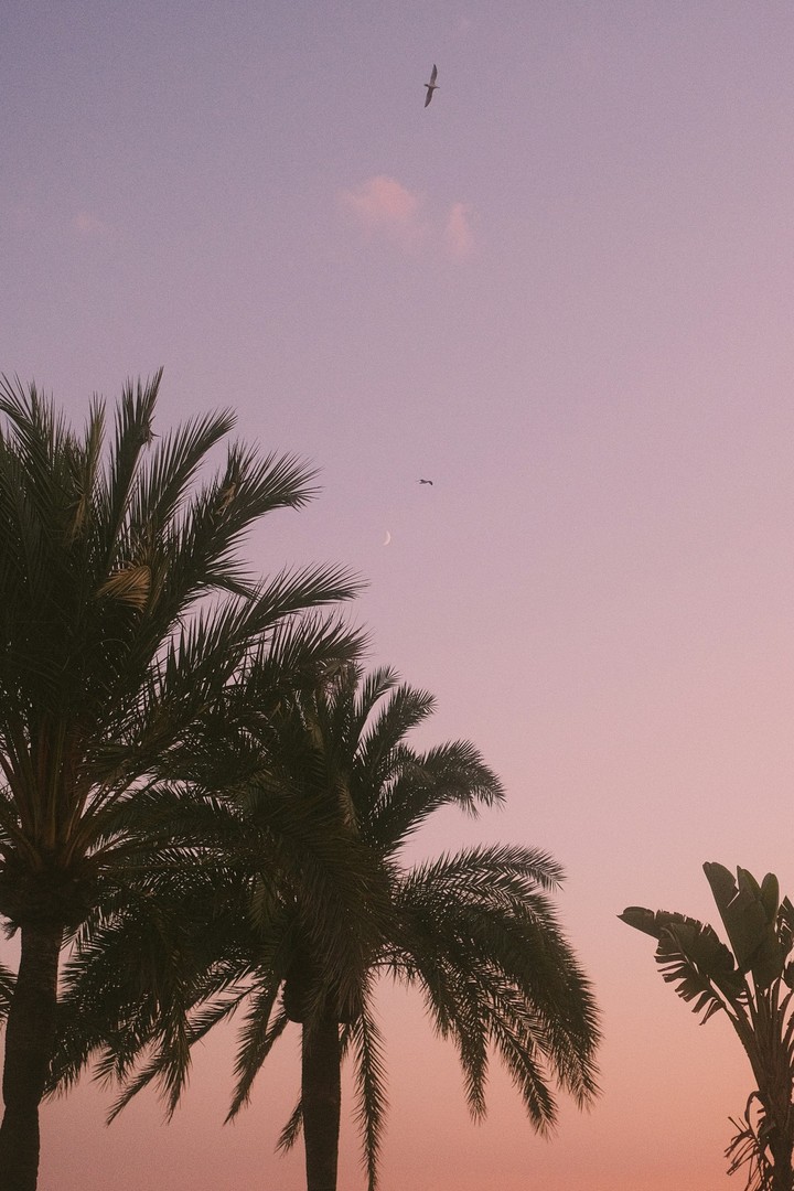 ταπετσαρίες afterglow, sunset