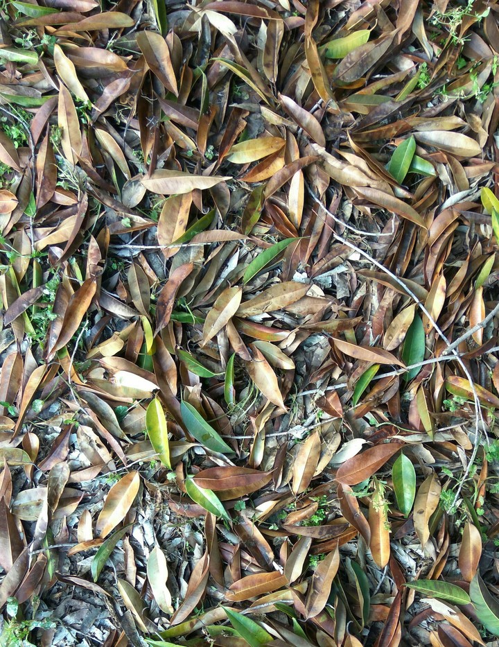 autumn!!