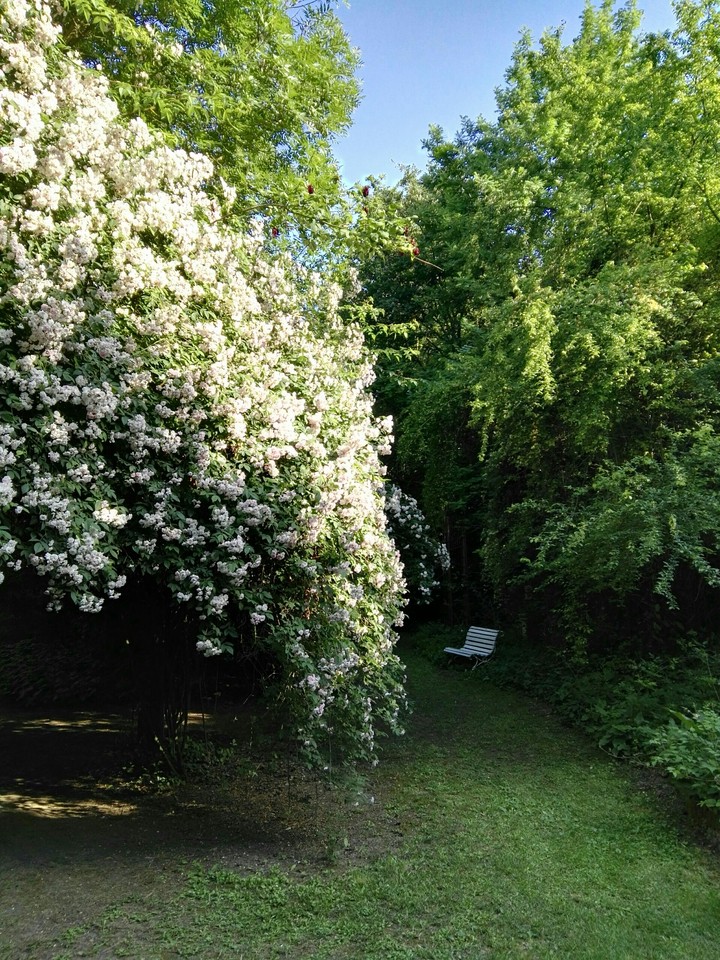 Nature