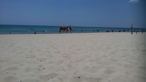 tunis#hmmamat yasmine# annaba