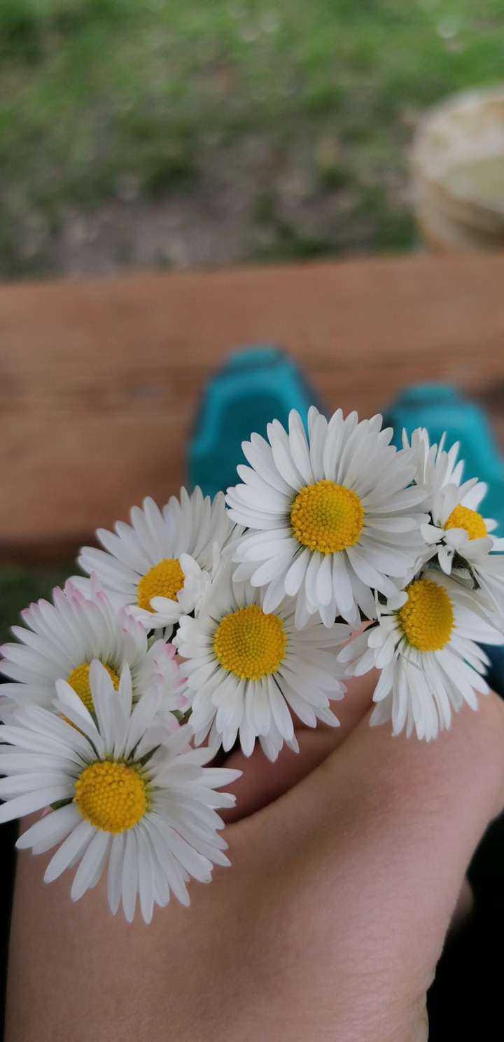 Spring is coming