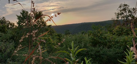 beautiful nature