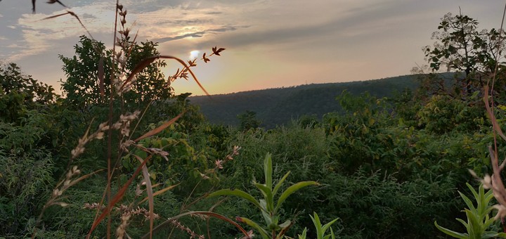 beautiful nature