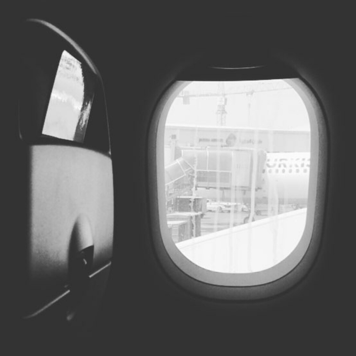 flight