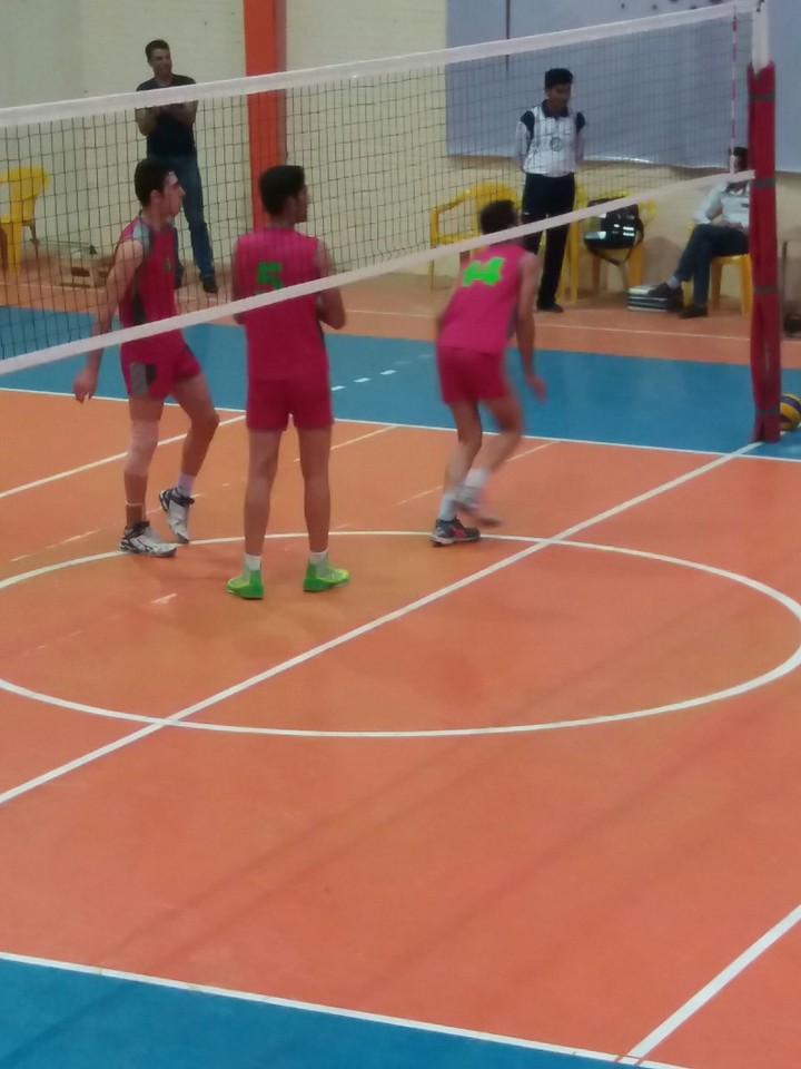 volibal
