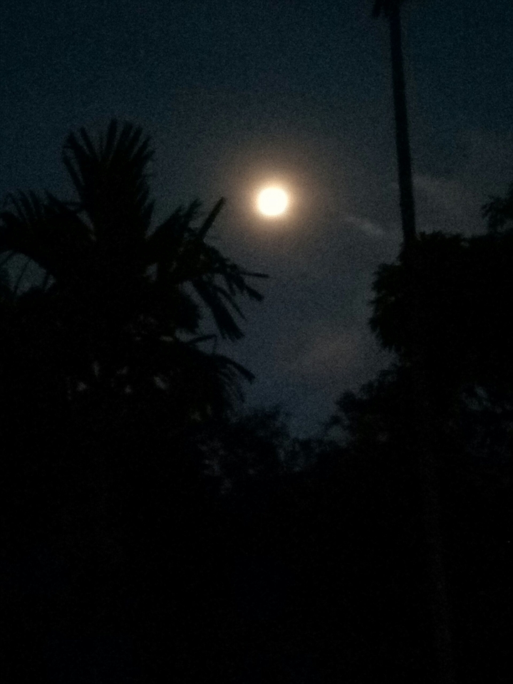 moon