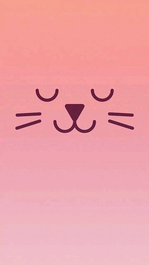 핑크고양이