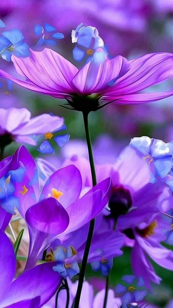 flora