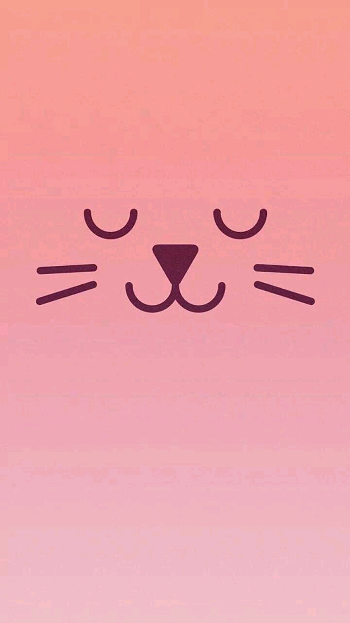 핑크고양이