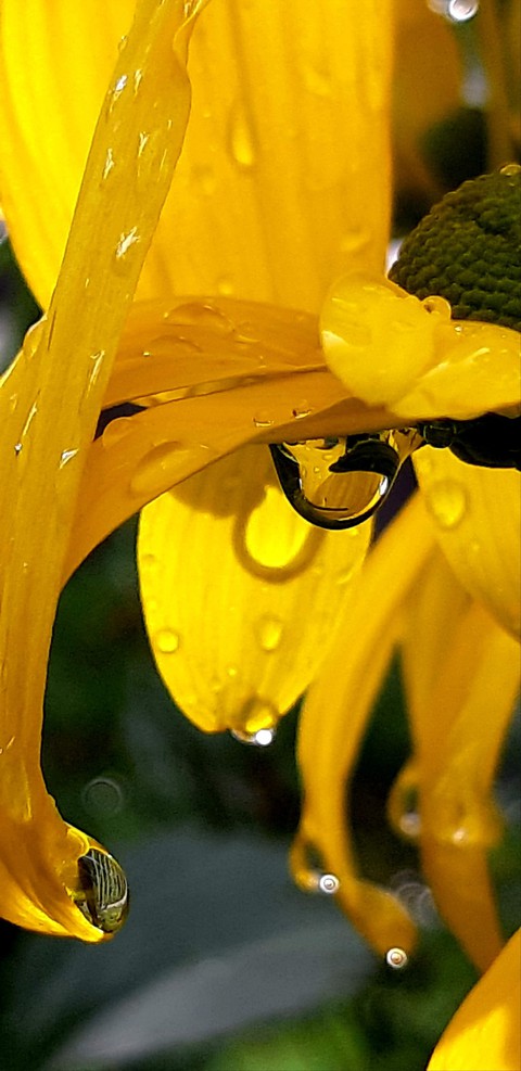 Regen????