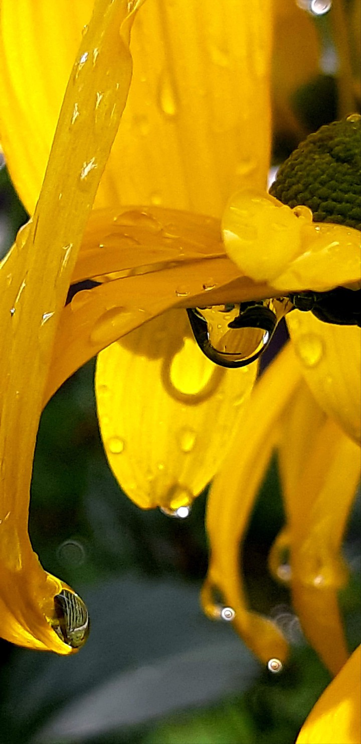 Regen????