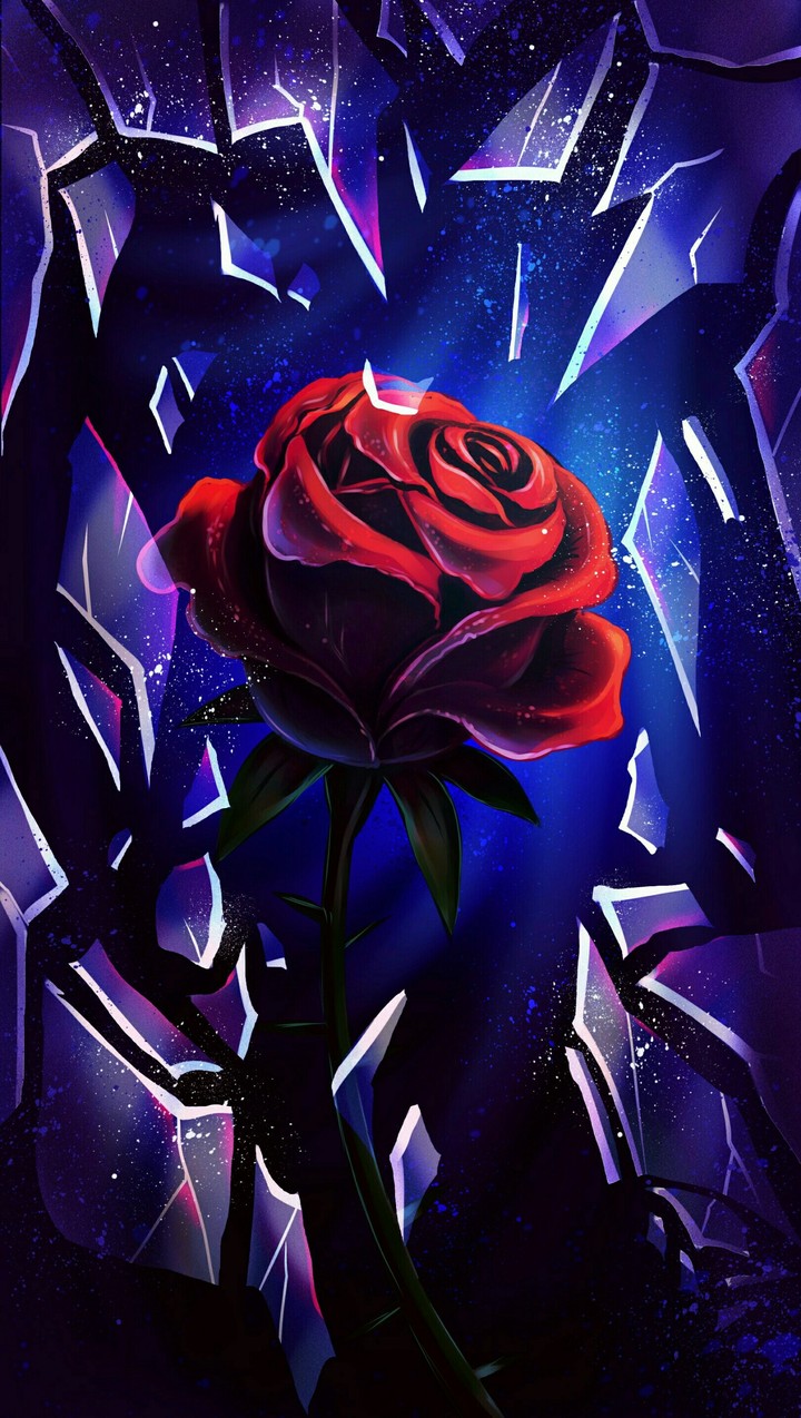 Beauty of the Heart