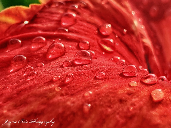 water droplet
