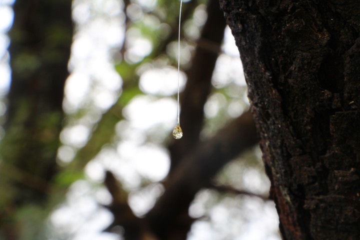 Tear Vol. 2