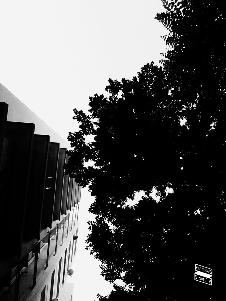 Monochrome.