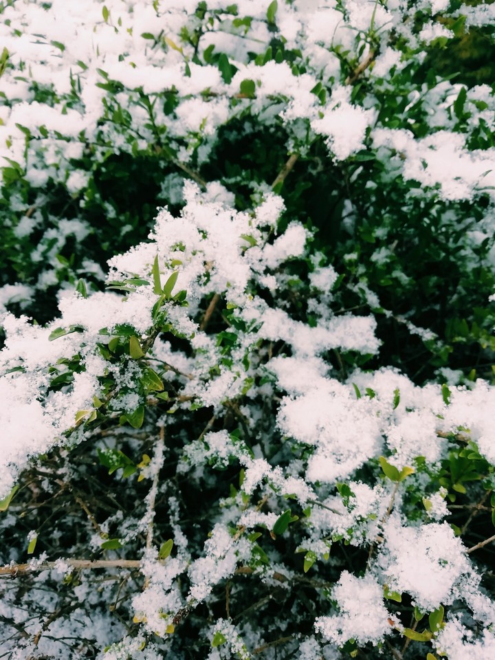 ?❄️
