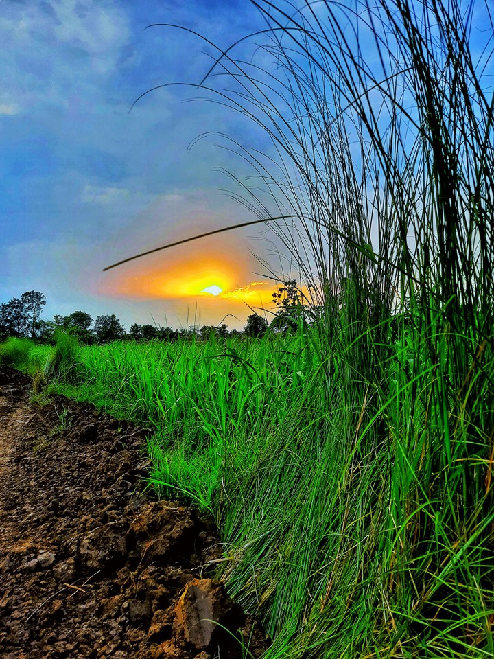 Three Shades Of Nature