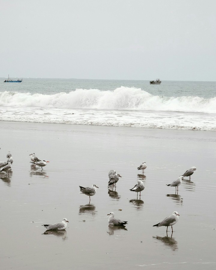 mar