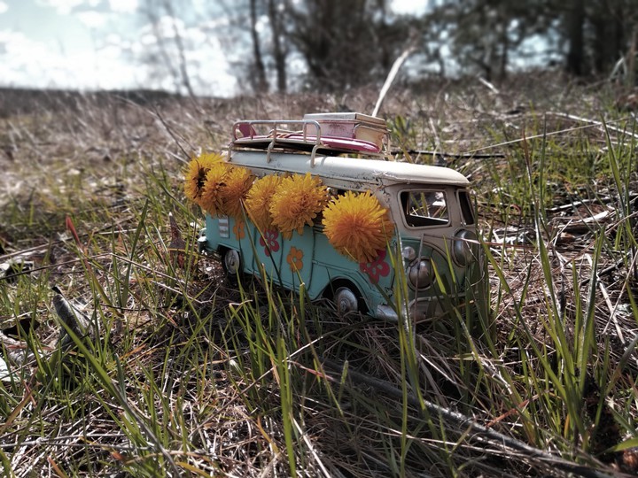 hippie bus