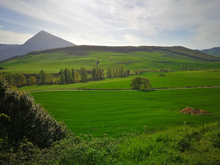 Navarra