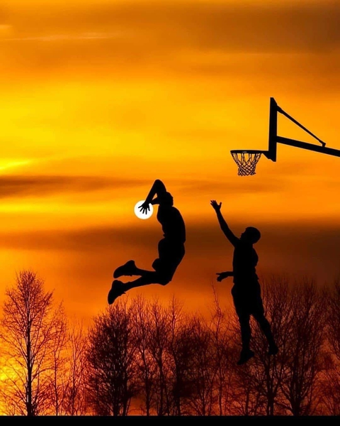 basket