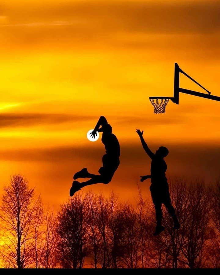 basket