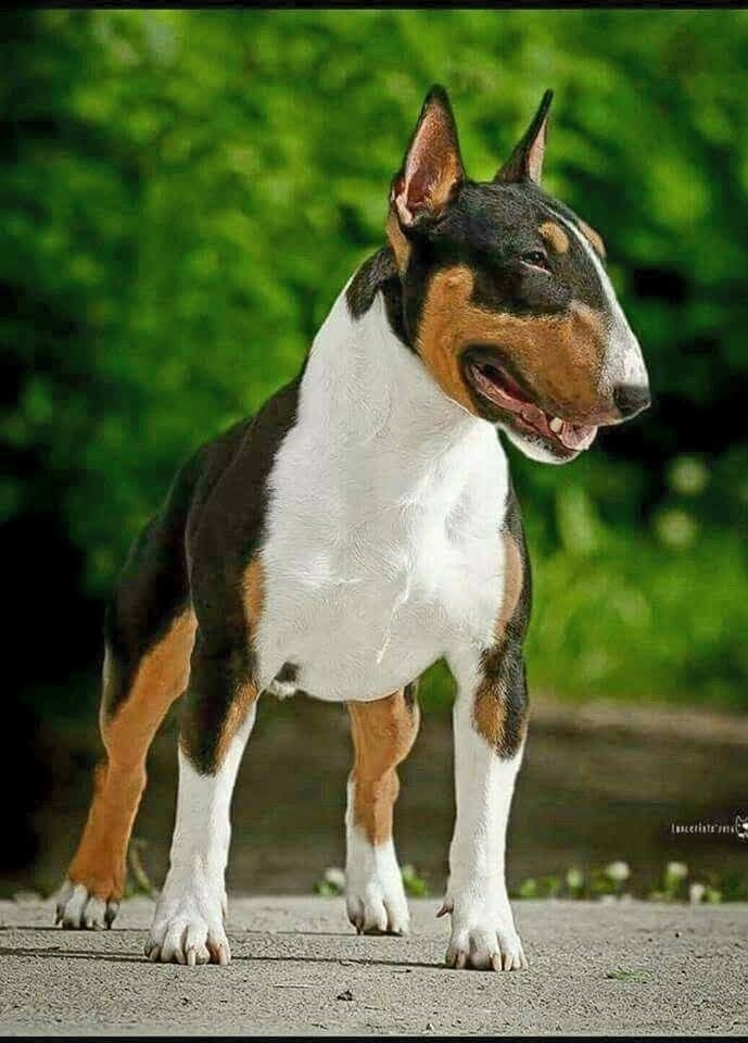 ♥️♥️♥️♥️