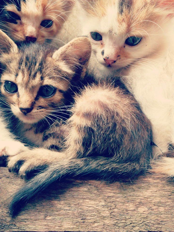 ❤