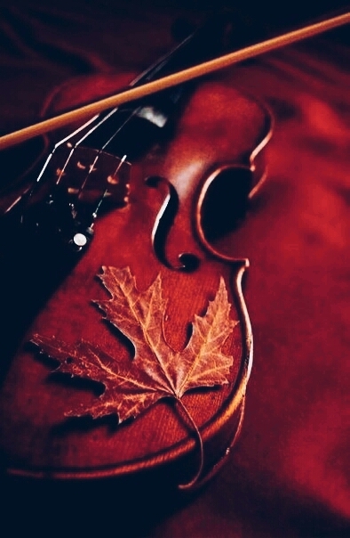 Violin