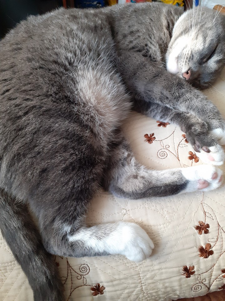 Sleeping Aschi...?