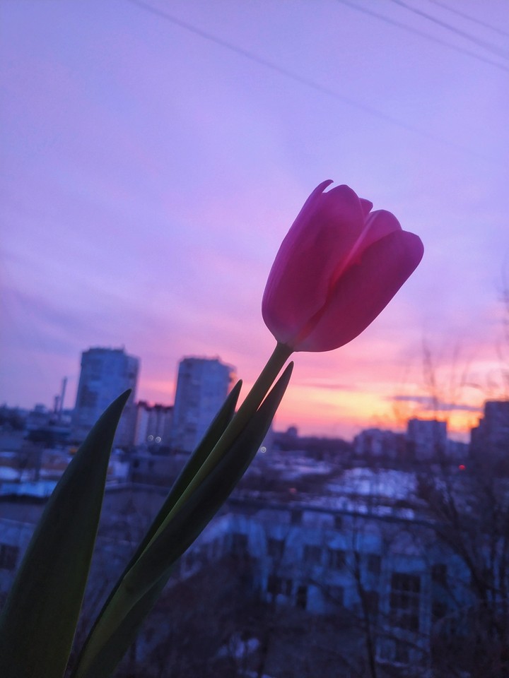 Весенний закат