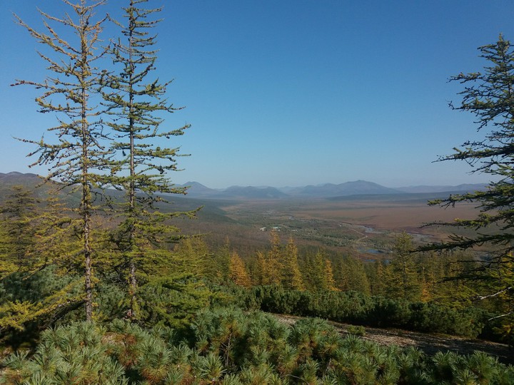 чукоткп
