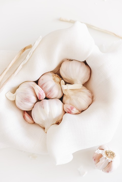 sfondi plant, Garlic
