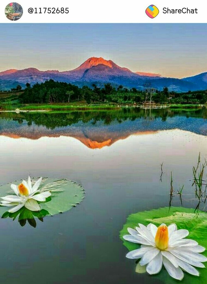 beautiful mountain
