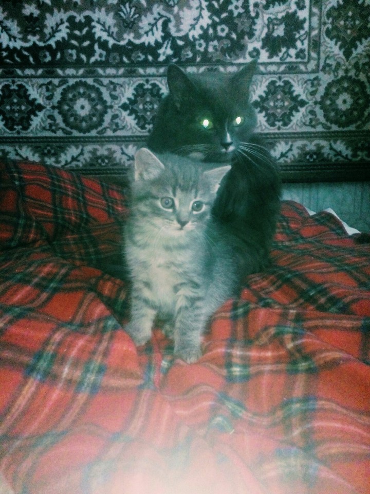 мама с сыном