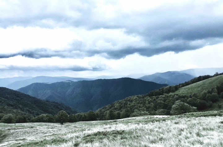 Wonderful valley✨