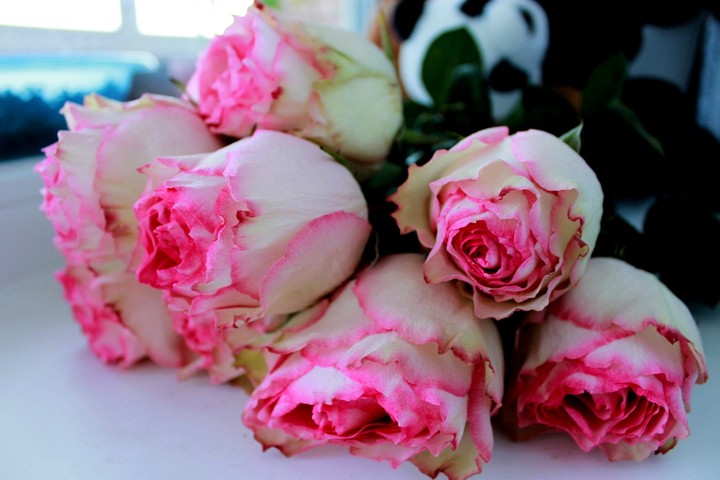roses