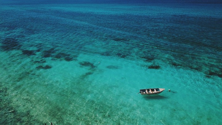 bahía de las águilas