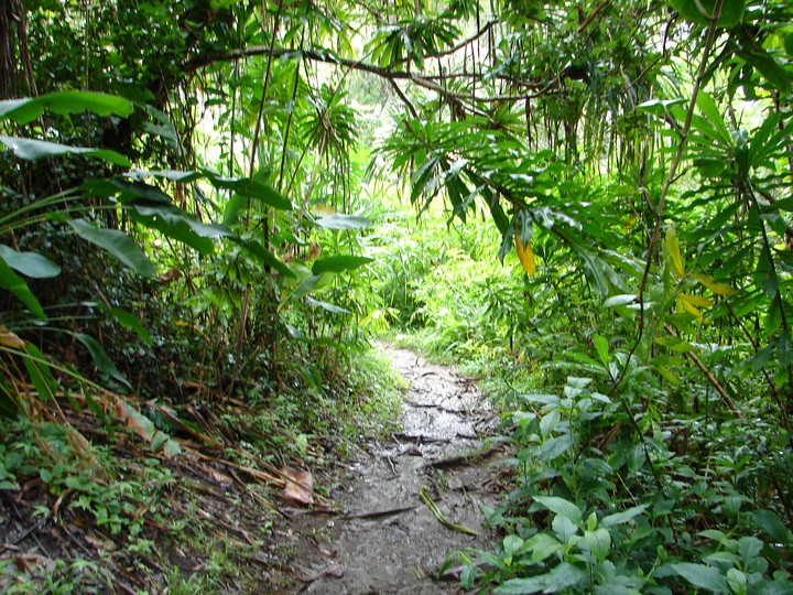 path
