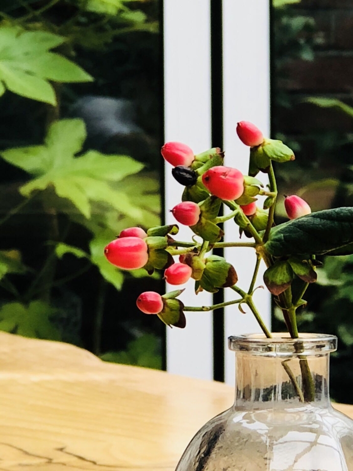 Cafe in Seoul Korea