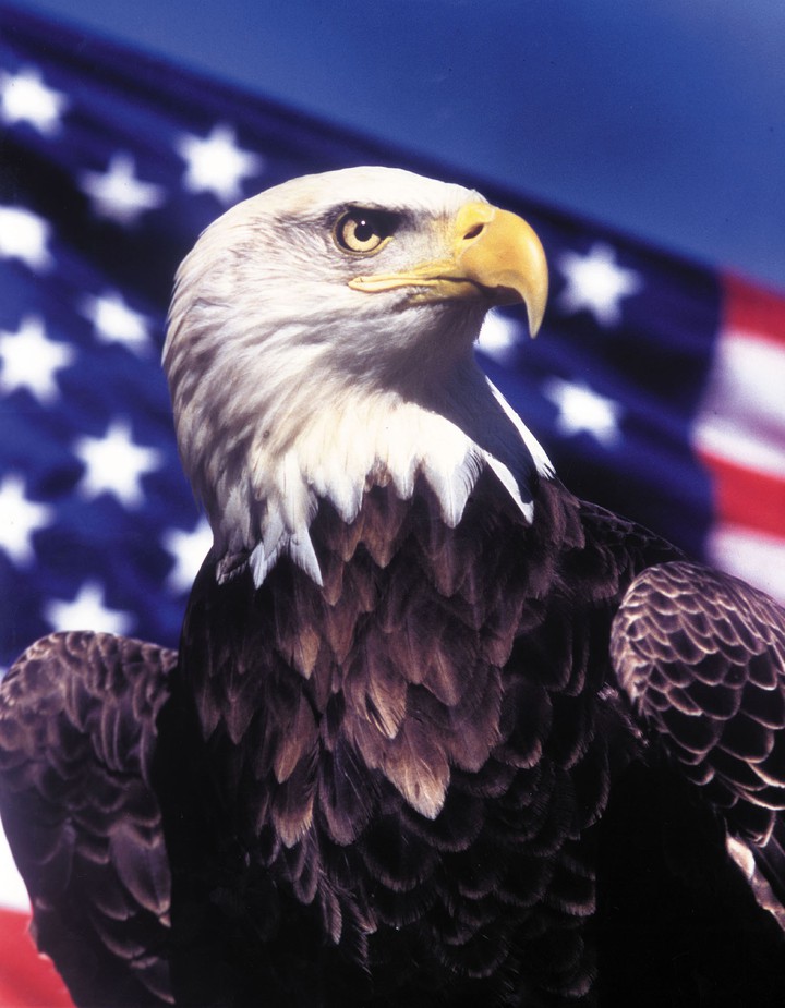 U.S.Eagle