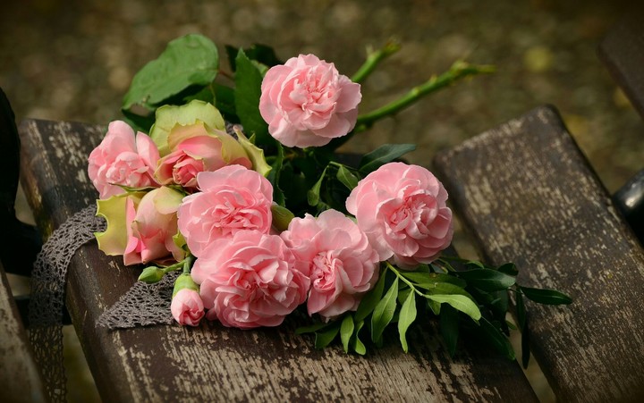 pink flowers