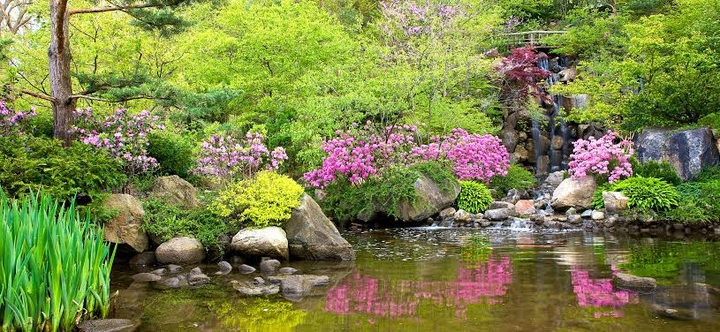 Japanese garden