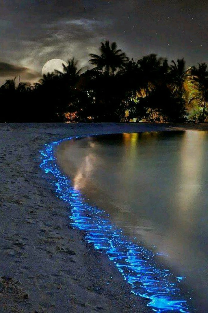 Night