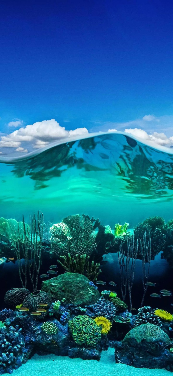 water world