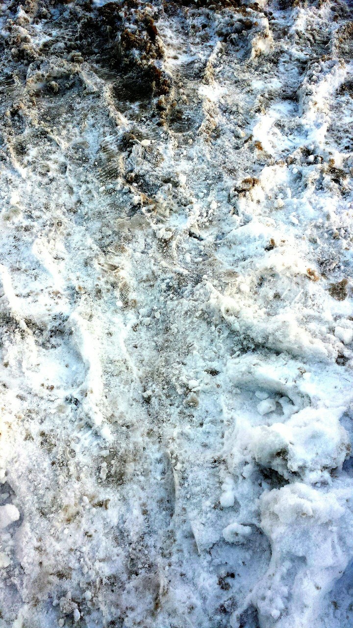 Fallen Snow