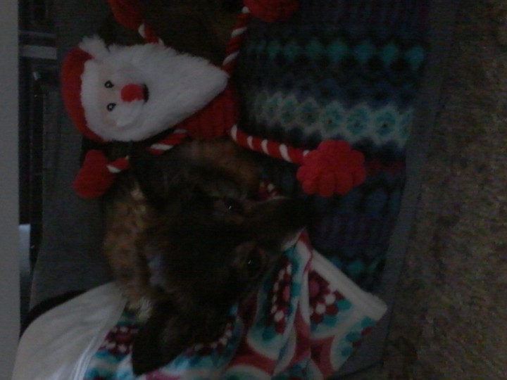 Poppy and Santa