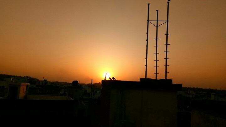 sunset